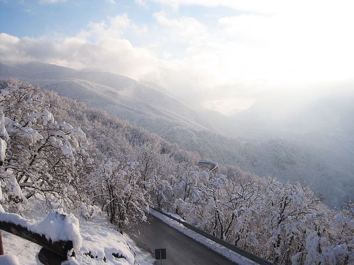 Boschi innevati lungo la strada di montagna verso il Laceno